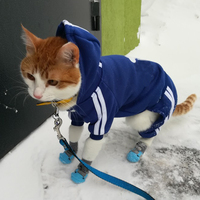 Słodki kociak sweter z kapturem zimowe ciepłe ubrania dla zwierząt dla kotów Sphynx Katten odzież strój Ropa Para gatos Kedi Giyim produkty dla zwierząt domowych 6